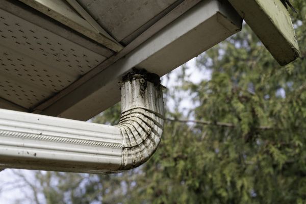 Cost of Roof Drain Replacement in West Bend
